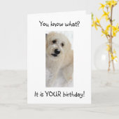 HOLZ-DU SIEHST GUT FÜR "40" AUS KARTE (Gelbe Blume)