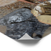 Holz für das Feuer sammeln. Poster (Ecke)