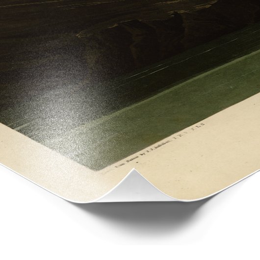 Holz Ibiss (Ibis, Stork): Audubon Birds of America Fotodruck (Ecke)