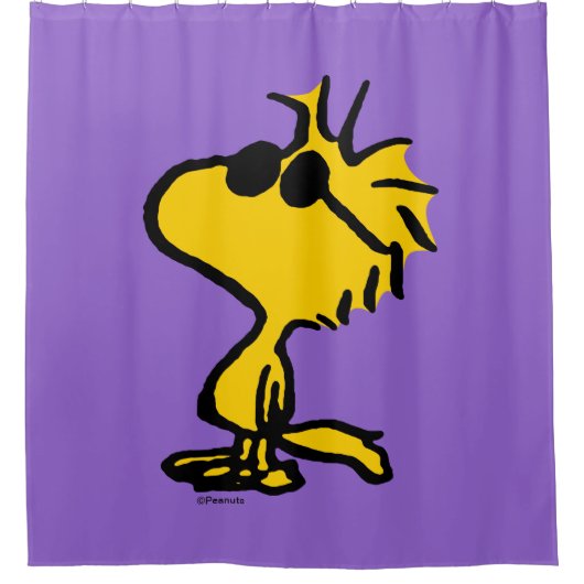 Holz in Sonnenbrille Duschvorhang (Vorderseite)