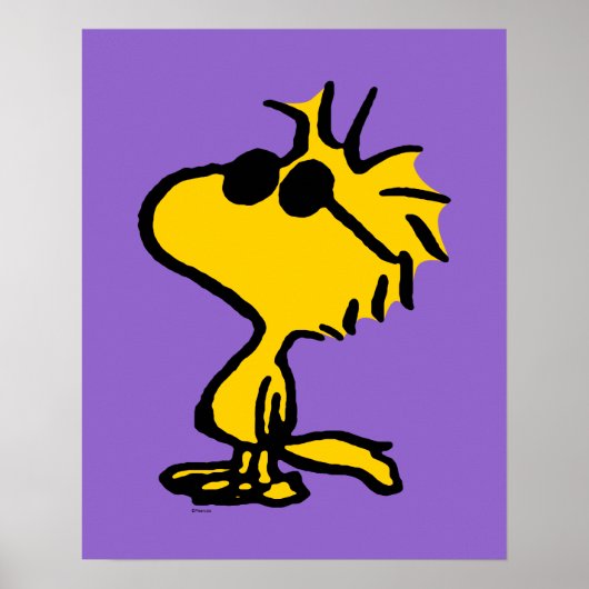 Holz in Sonnenbrille Poster (Vorne)