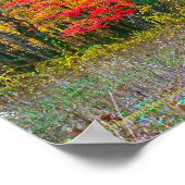 "HOLZ MIT FALLFARBE"/FOTOGRAFIE POSTER (Ecke)