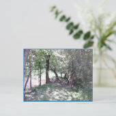 Holz nach Teich Foto Postkarte (Stehend Vorderseite)