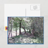 Holz nach Teich Foto Postkarte (Vorne/Hinten)