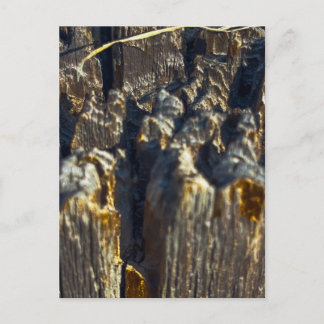 Holz Nahaufnahme gespalten Postkarte