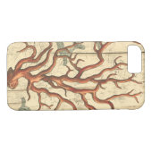 Holz und kleine Korallen Case-Mate iPhone Hülle (Rückseite (Horizontal))