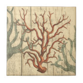 Holz und kleine Korallen Fliese (Vorderseite)