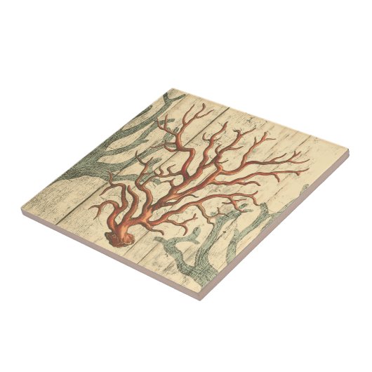 Holz und kleine Korallen Fliese (Seite)