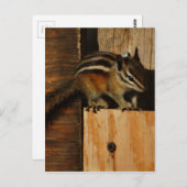 Holz und Splitter Postkarte (Vorne/Hinten)