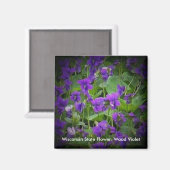 Holz Violet in Spotlight Wisconsin Staat Blume Magnet (Vorderseite/Rückseite)