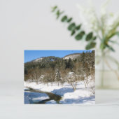 Holz, VT Postkarte (Stehend Vorderseite)