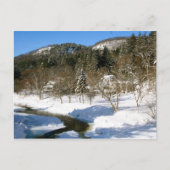 Holz, VT Postkarte (Vorderseite)