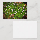 Holzanemon, hübsche Blume Mitteilungskarte (Vorne/Hinten)