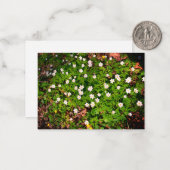 Holzanemon, hübsche Blume Mitteilungskarte (Vorderseite/Rückseite Beispiel)