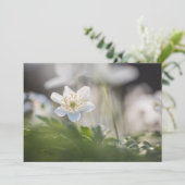 Holzanemone Nature Foto-Karte (Stehend Vorderseite)