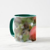 Holzapfel-Tasse Tasse (Vorderseite Links)