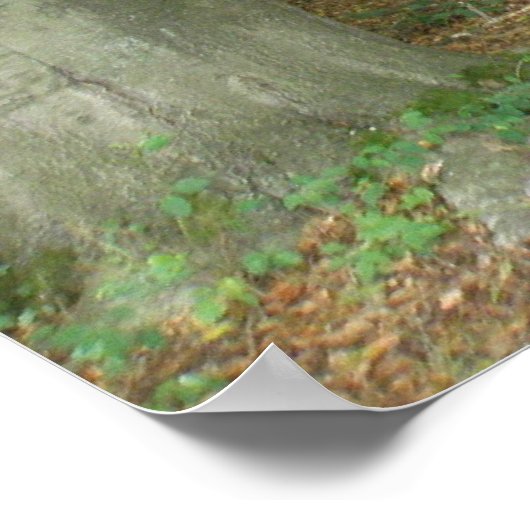 Holzaufbereitungspapier Poster (Ecke)