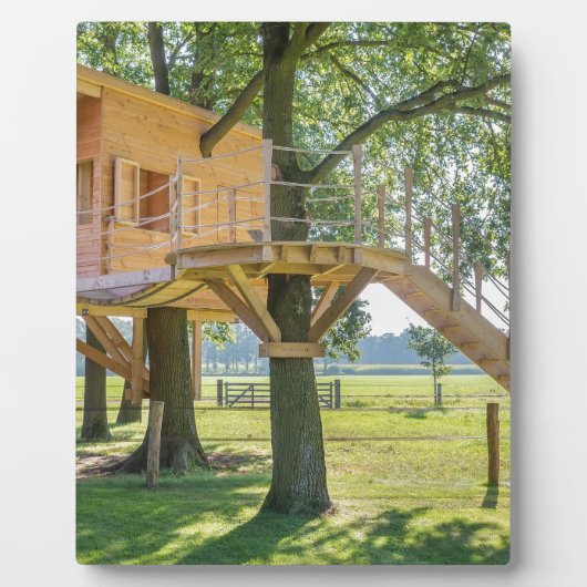 Holzbaumhaus aus Eichenholz mit Gras Fotoplatte (Vorderseite)