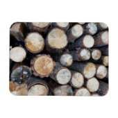 Holzbaumholz Holz Original Naturfoto Magnet (Horizontal)