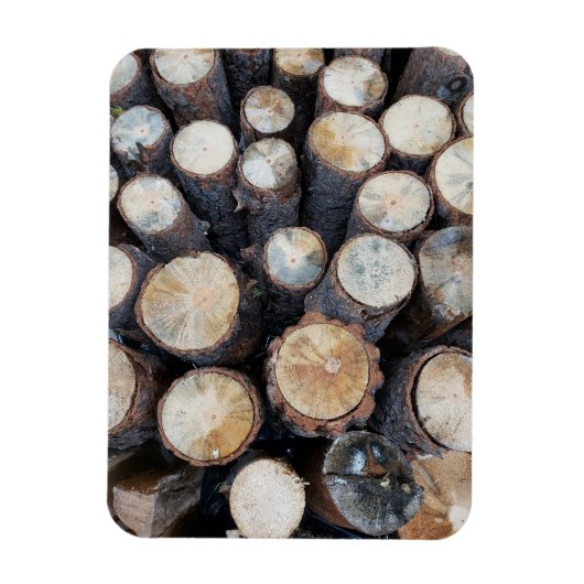 Holzbaumholz Holz Original Naturfoto Magnet (Vertikal)