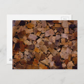 Holzbaumholz rustikales Holzbaumholzmuster Postkarte (Vorne/Hinten)