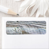 Holzbaumrinde rustikal beängstigend (Insitu)