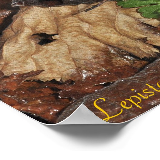 Holzbleichplakat Poster (Ecke)