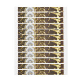 Holzboden mit mechanischem Seepferd (Bogen)