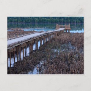 Holzbohlenweg über einem Moor im Bloomington Refug Postkarte
