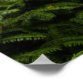 Holzbrücke im japanischen Gartenposter Poster (Ecke)