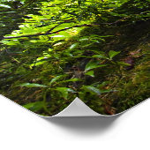 Holzbrücke im japanischen Gartenposter Poster (Ecke)