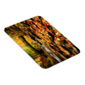 Holzbrücke und Bach im Herbst Magnet (Rechte Seite)