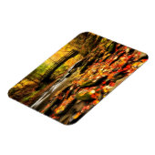 Holzbrücke und Bach im Herbst Magnet (Linke Seite)