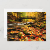Holzbrücke und Bach im Herbst Postkarte (Vorne/Hinten)