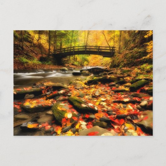 Holzbrücke und Bach im Herbst Postkarte (Vorderseite)