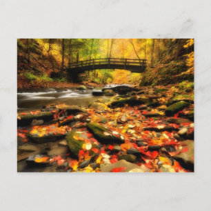 Holzbrücke und Bach im Herbst Postkarte