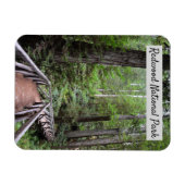 Holzbrücke und Sequoias | Redwood National Park Magnet (Horizontal)
