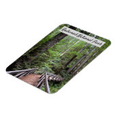 Holzbrücke und Sequoias | Redwood National Park Magnet (Linke Seite)