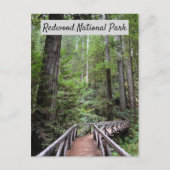 Holzbrücke und Sequoias | Redwood National Park Postkarte (Vorderseite)