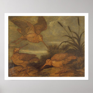 Holzcock in Dusk, c.1676 (Öl auf Leinwand) Poster