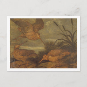 Holzcock in Dusk, c.1676 (Öl auf Leinwand) Postkarte