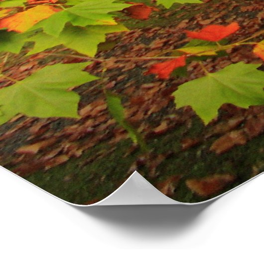 Holzdruck Poster (Ecke)