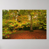 Holzdruck Poster (Vorne)