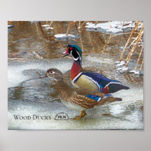 Holzducken auf dem Muskegon