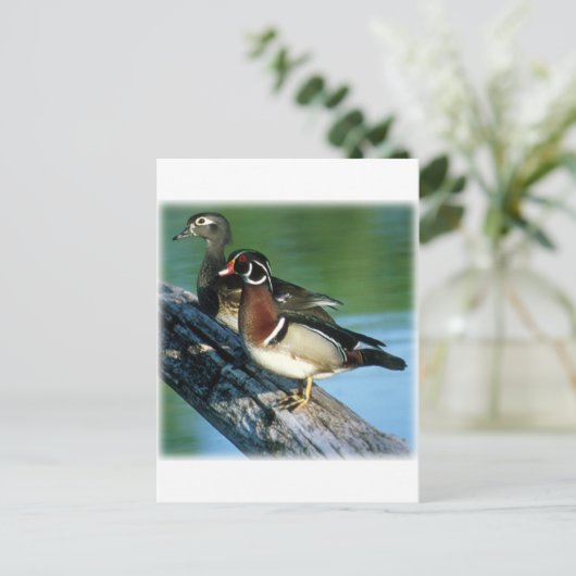 Holzducks Postkarte (Stehend Vorderseite)