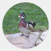 Holzente #4 Stickers (Vorderseite)