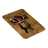 Holzente am Goldenen See Magnet (Rechte Seite)