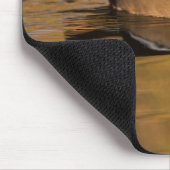 Holzente am Goldenen See Mousepad (Ecke)