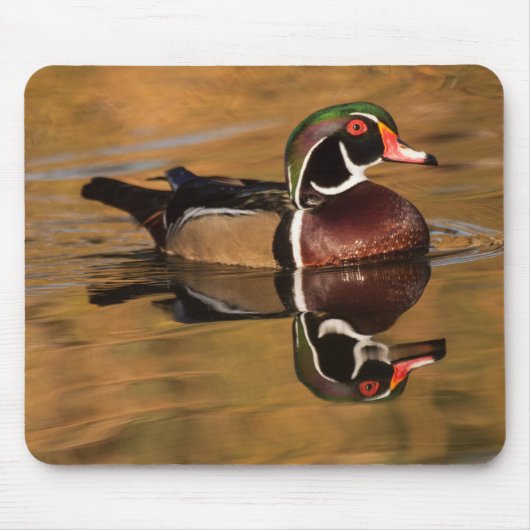 Holzente am Goldenen See Mousepad (Vorne)