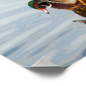 Holzente am Ufer Poster (Ecke)